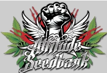  Attitude Seedbank Voucher