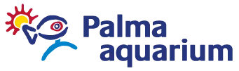 palmaaquarium.com