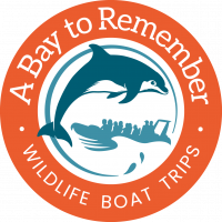 baytoremember.co.uk