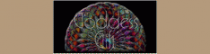 goddessgift.com
